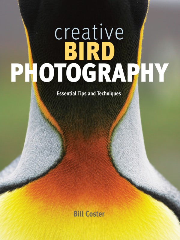 Book cover image for Creative Bird Photography ISBN: 9781553655459